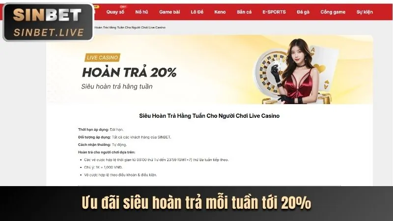 Người chơi tạm dừng cá cược
